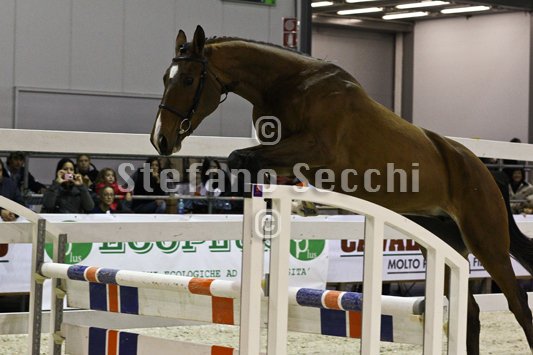 NADA BRAUN_MILANO_2010_SS3_1544.jpg